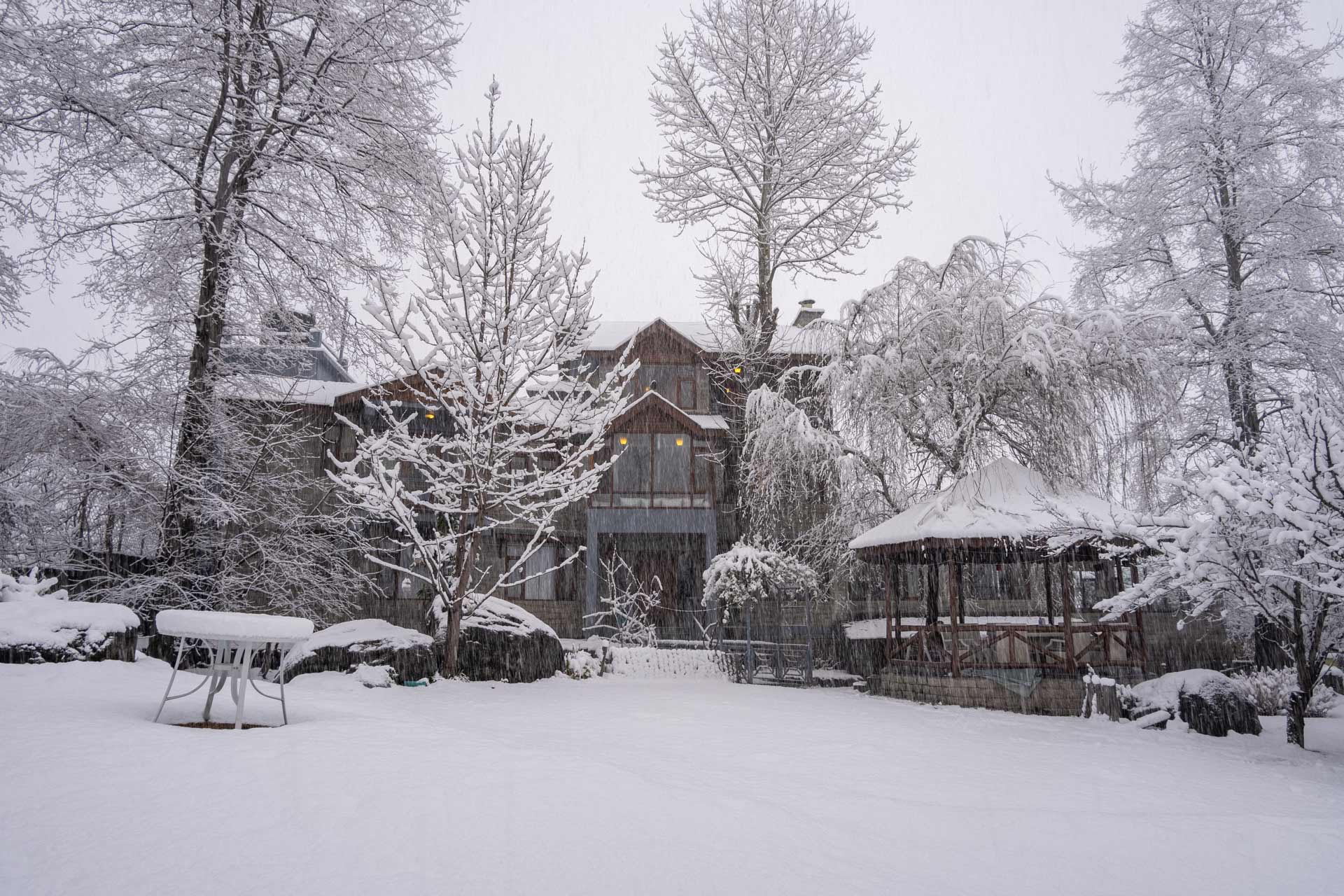 Escape to Manali This Festive Season: Enjoy an Inaugural 25% Off at The Water Willow by Vanavya